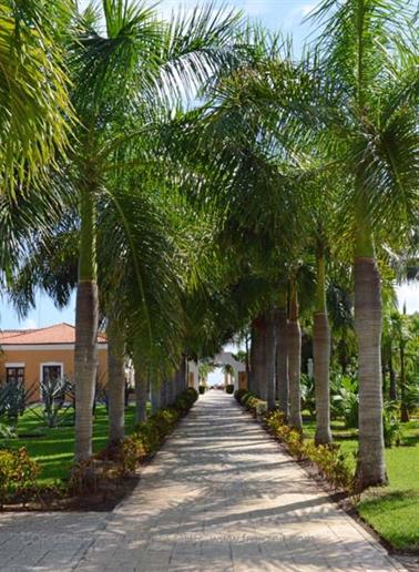 Dreams-Resort-und-Spa-Tulum, DSC_6933_b_H600Px